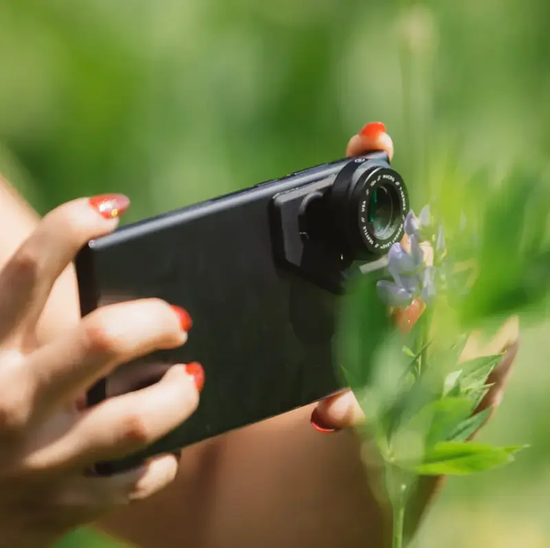 Phone lenses for macro photography