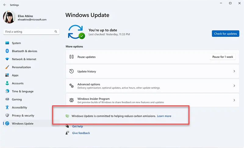 windows 11 update now