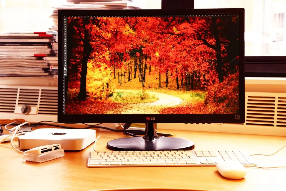 Test images on matte and glossy screens
