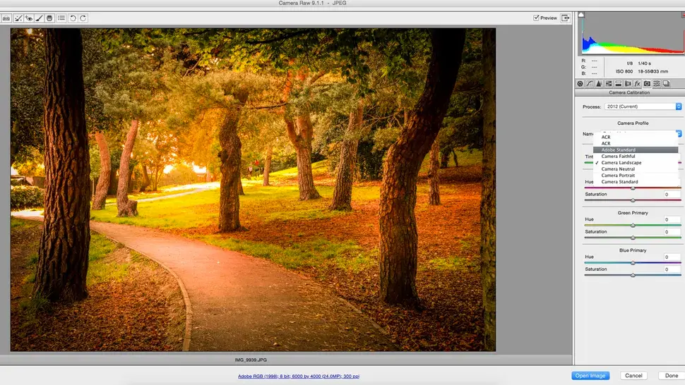 Use a camera color profile