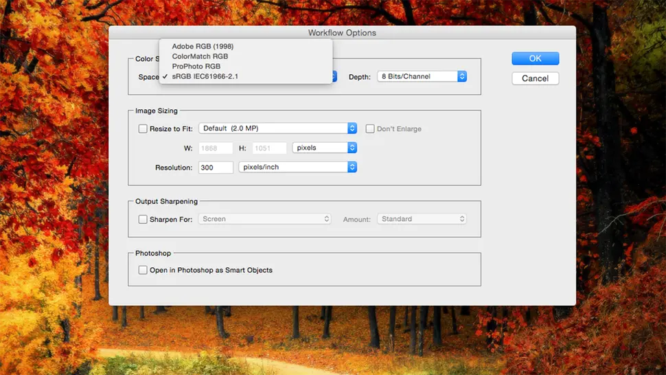 Use an sRGB color space